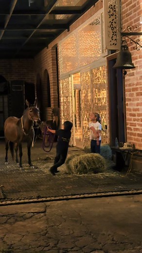 Cómo criar un hombre caballeroso y respetuoso