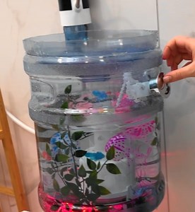 19K views · 27 reactions | From Flush to Splash: Turning Toilet Tanks into Dazzling Home Aquariums! | Transformazing | Facebook
