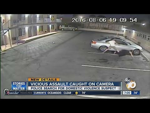 Vicious assault caught on camera
