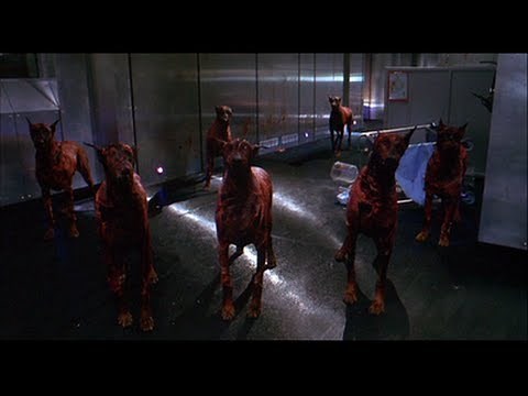 Resident Evil -Dobermann