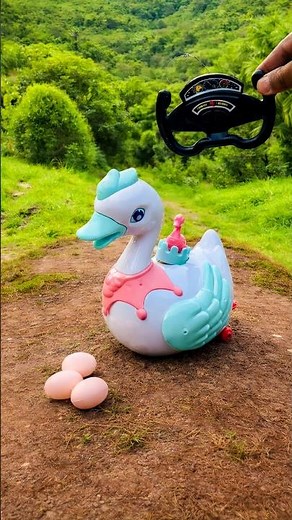 Rc Swan Remote Control Toy Will Lay Eggs Unboxing & Test 🦢