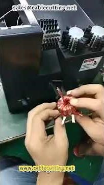 Semi Automatic Wire Brushing And Twisting Machine