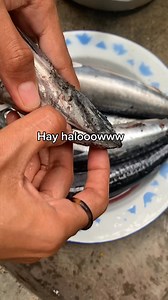 Abon ikan tongkol ala ala ullalaa. | Kampung Halaman