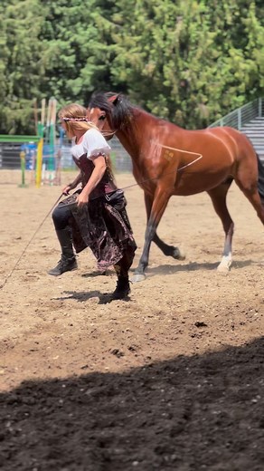 Sweet Marengo at Sandpoint Renaissance Faire 🦄💕 #beautifulhorse #horselover #libertyhorse #arabianhorse #andalusianhorse #hispanoarabe #horsetraining #horsemanship #equestrian #horsegirl #renfaire | Lyndsi Hardin