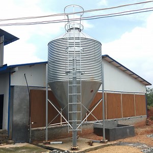 [Hot Item] Large Capacity Steel Grain Professional Farm Poultry Feed Silo for Feed Storage