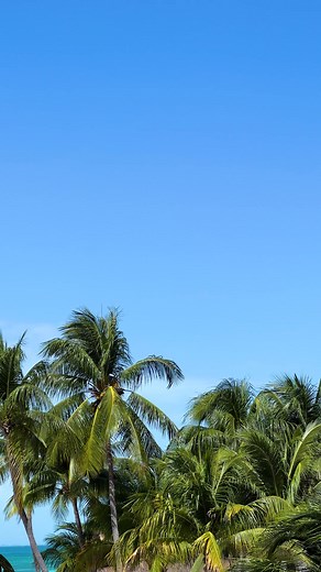 1.5K views · 27 reactions | Experience the perfect fusion of relaxation and adventure on Isla Mujeres. . . . #IxchelBeachHotel #IxchelIslaMujeres #IslaMujeres #QuintanaRoo #IslaMujeresPuebloMagico #Nature #Beach #ViveMexico #BeWithYourself #CaribeMexicano #MéxicoMagico #RivieraMaya | Ixchel Beach Hotel | Facebook