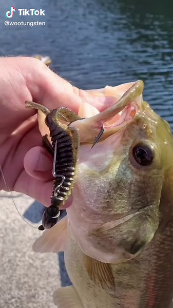 WOO! Tungsten on TikTok