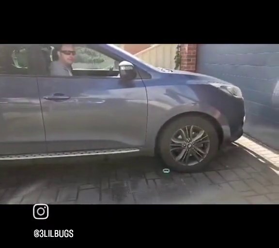 Paw Print Cookie Cutter STL 3D Print Set of 2 | Pet Animal Kids Party | Digital Download Baking Birthday - Etsy