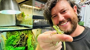 Iguana's rare 'virgin birth' stuns zookeepers: 'One of the rarest feats in the animal kingdom'