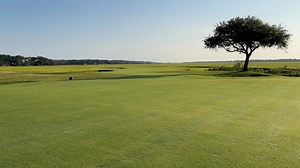 Check out the renovation progress being made at the Jack Nicklaus designed Pawleys Plantation Golf Club. We highlight the 12th, 13th, 16th and 17th greens. Full Steam Ahead! #MyrtleBeachGolf | Myrtle Beach Golf at MBN.com