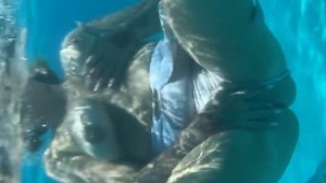 Underwater flashing | Clips4sale