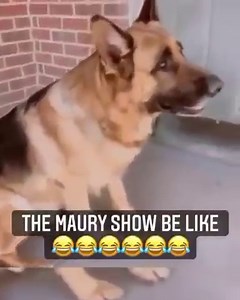 😂😂😂😂😂😂You are not that babies father. | Stephanie Mills