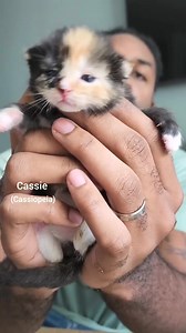 31K views · 1.5K reactions | We've had these five for a week and they...