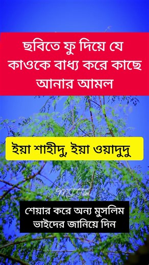 The history of #photography dates back to the early 19th century and has evolved significantly over time. Here's an overview of its key developments: Early Beginnings (Pre-19th Century) Camera Obscura (Before 1800s): This was a device used for centuries to project images onto a surface, but it could not capture them permanently. Light-sensitive materials: Scientists discovered that certain substances, like silver salts, darkened when exposed to light. The Birth of Photography (19th Century) 1826