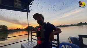 River Cruise Teluk Intan on Reels