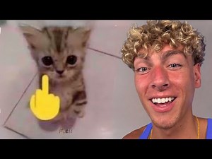 FUNNIEST Low Quality Memes