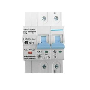 [Hot Item] Tuya WiFi Wireless Smart Remote Control Single Phase Electrical Main Vacuum Air Circuit Breaker Adjustable 25 40 63 80 100 AMP