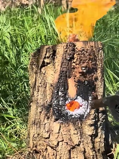 2.4K views · 31 reactions | Alone in the Wild Surviving and Building My Own Shelter from Scratch  | Mighty Banana | Facebook