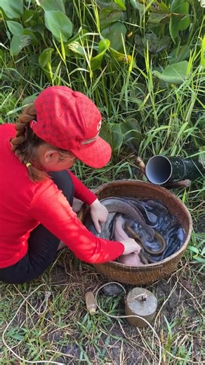 Unbelievable fish trap technique with the most unique oil fishing 👏 #fishing | Classic Cartoons
