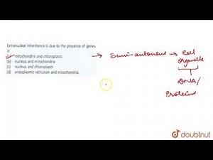 Extranuclear inhertance is due to the presence of genes in