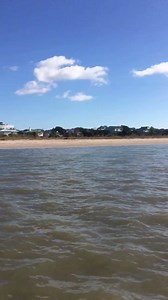 Who needs an Edisto fix? | Botany Bay Ecotours