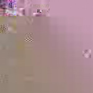 1K views · 91 reactions | We have three recipes for today's menu on #FarmToTable! Don't miss this Food Explorers! See you at 6:50 PM on GTV! | Farm To Table | Facebook