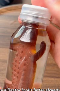 #toys #satisfyingvideo #scienceexperiments #fy #sciencetok | science experiments