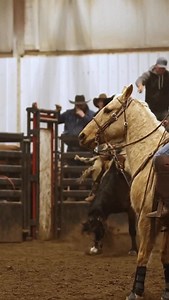 27K views · 19K reactions | Baby powder saves the day again. Good...