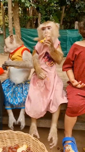 1.6K views · 62 reactions | Princess YaYa shally eat Grapes ❤️ | YaYa Note | Facebook