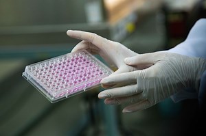 Harvard Researchers Have Successfully Made Cow & Rabbit Meat In A Lab