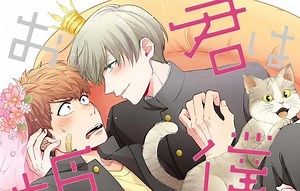 13K views · 1.1K reactions | ALGUIEN ASÍ DE ATERRADOR COMO SU PRINCESA?? NOMBRE: KIMI WA BOKU NO OHIMESAMA #yaoi #boyslove #manhwa #fujoshi #manhwareccomendation #manhwaedit #manga #mangarecomendation #mangatiktok #comedia #romance #mangacomedia #mangarecomendacion #romancemanwha #mangaromance #fyp #viral #tiktokviral | Flancito BL | Facebook