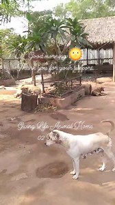 47 reactions | မင်္ဂလာပါရှင်။ Hello February!  Good bye January!...