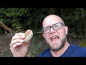 AUFFE DEUSEN NATOUR - ZWEITER TEIL