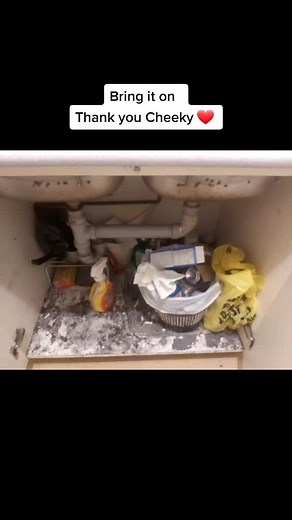 Alone_Andy2021 on TikTok