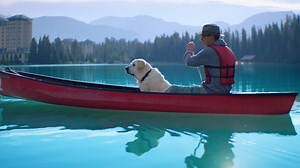 Have you met our Canine Ambassadors? | Fairmont Hotels