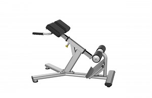 [Hot Item] Commercial Hyperextension Bench Fitness Lower Back Benches Roman Chair