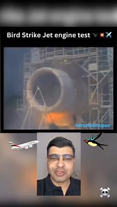 1.2K views · 642 reactions | Bird strike in jet engine  . ....