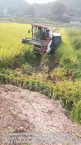 5.9K views · 40 reactions | Efficient Crop Harvesting with a Combine Harvester #agriculture #farming | Fatafatnews | Facebook