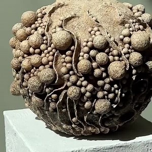 Paper Clay Art Vessel: Biomorphic Japandi & Wabi Sabi Sculpture, Contemporary Earth Tone Art Vase - Etsy