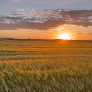 Koleksi Nasyid tanpa musik temani perjalananmu dengan koleksi nasyid kami... cek sekarang.. | Pustaka An-nabawy