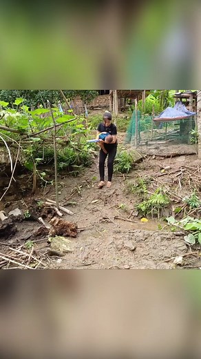 50K views · 670 reactions | 18 year old young girl - Harvesting Net corn #singlemom #baby #cute #reelsfbシ | Sandy Vlogs | Facebook