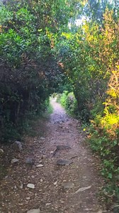 Akoli is one of a chain of beaches on the North West that can only be reached on foot or by boat. It is a pretty spot with a fine pebble beach and clear water but little natural shade. It is well worth a visit. It takes about 15 mins to walk in. seablue137corfu.com #SeaBlueCorfu137 #greeceholiday #booknow #directbooking #corfuisland #corfusummer | Glyfada beach Corfu Seablue137