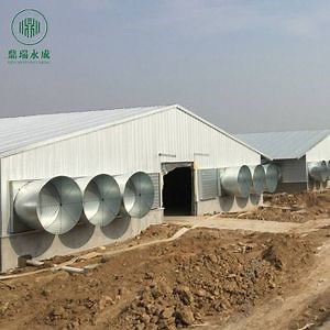 [Hot Item] Poultry Farm Design Layout for Chicken House, Broiler Chicken House