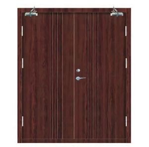 [Hot Item] UL Certifed Ameraican Standard Fire Rating Metal Acess Doors Exterior Passway Door with Mortise Lock