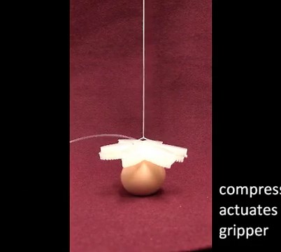 PneuNets Bending Actuators | Soft Robotics Toolkit