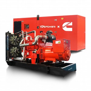 [Hot Item] 300kVA Natural Gas Generator Biogas Generator with Cummins Engine