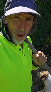 13K views · 462 reactions | Real sharing is the measure of true friendship | Clay Tall Stories | Facebook