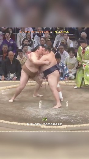Sumo Wrestling in Japan #相撲 #大相撲 #sumo #sumowrestling #fyp