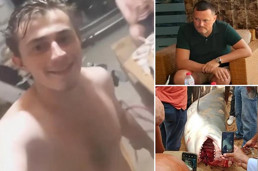 Shark captured and clubbed to death after killing man in Egypt