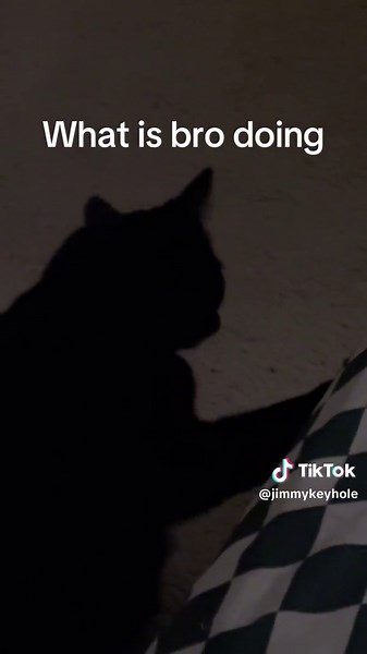 Jimmy Keyhole on TikTok